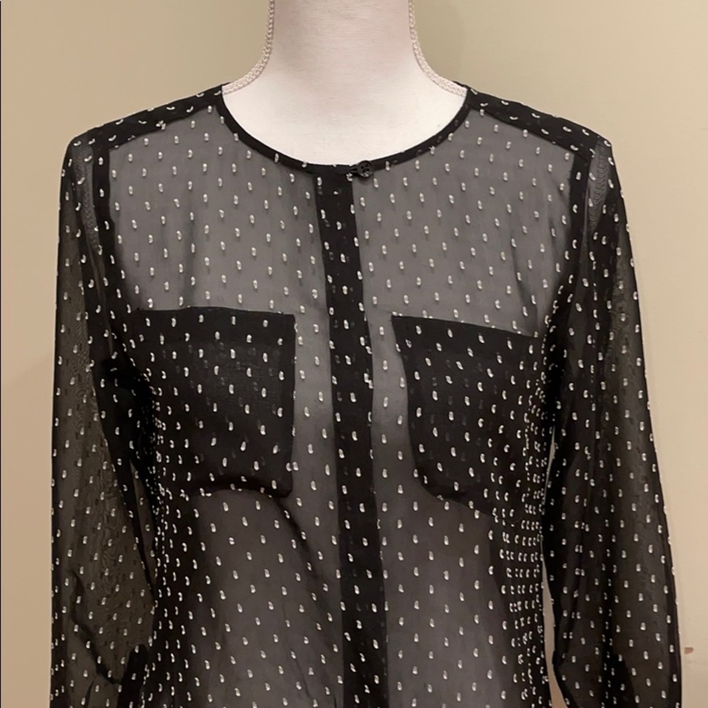 Ann Taylor Loft SP